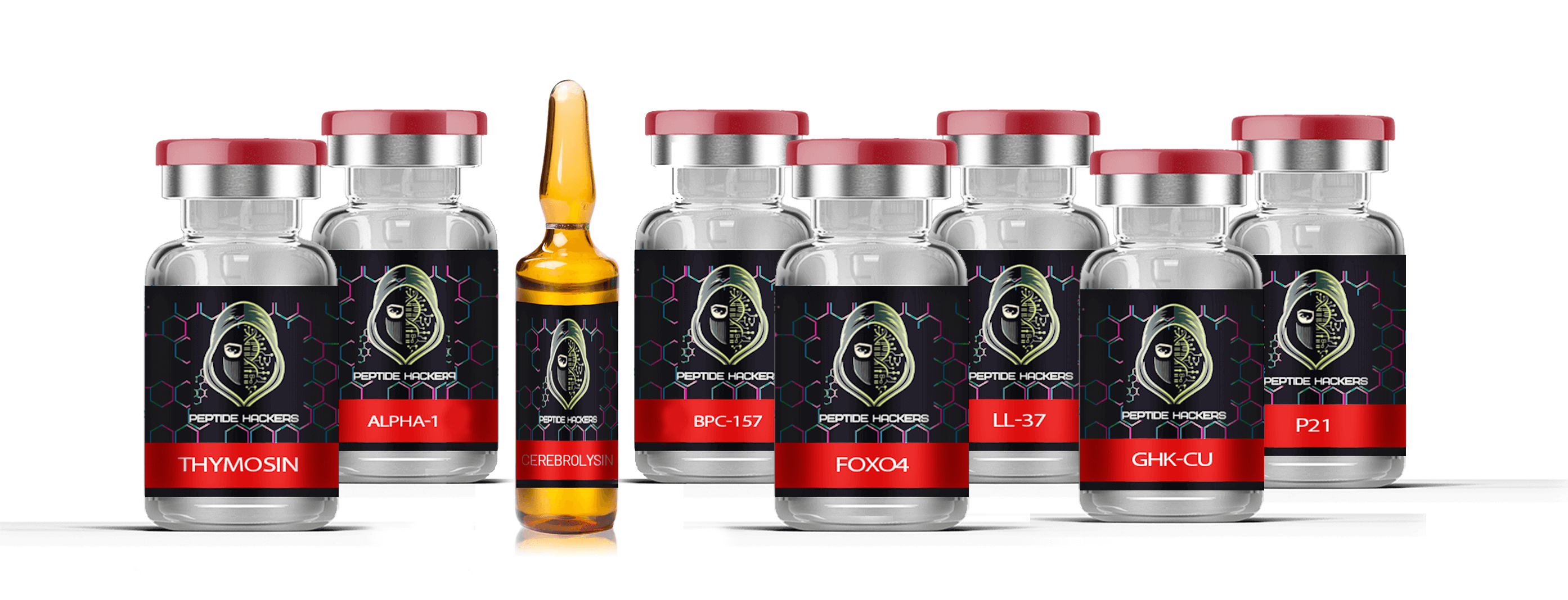Peptides explained in detail, covering their types, functions, and benefits for health and wellness