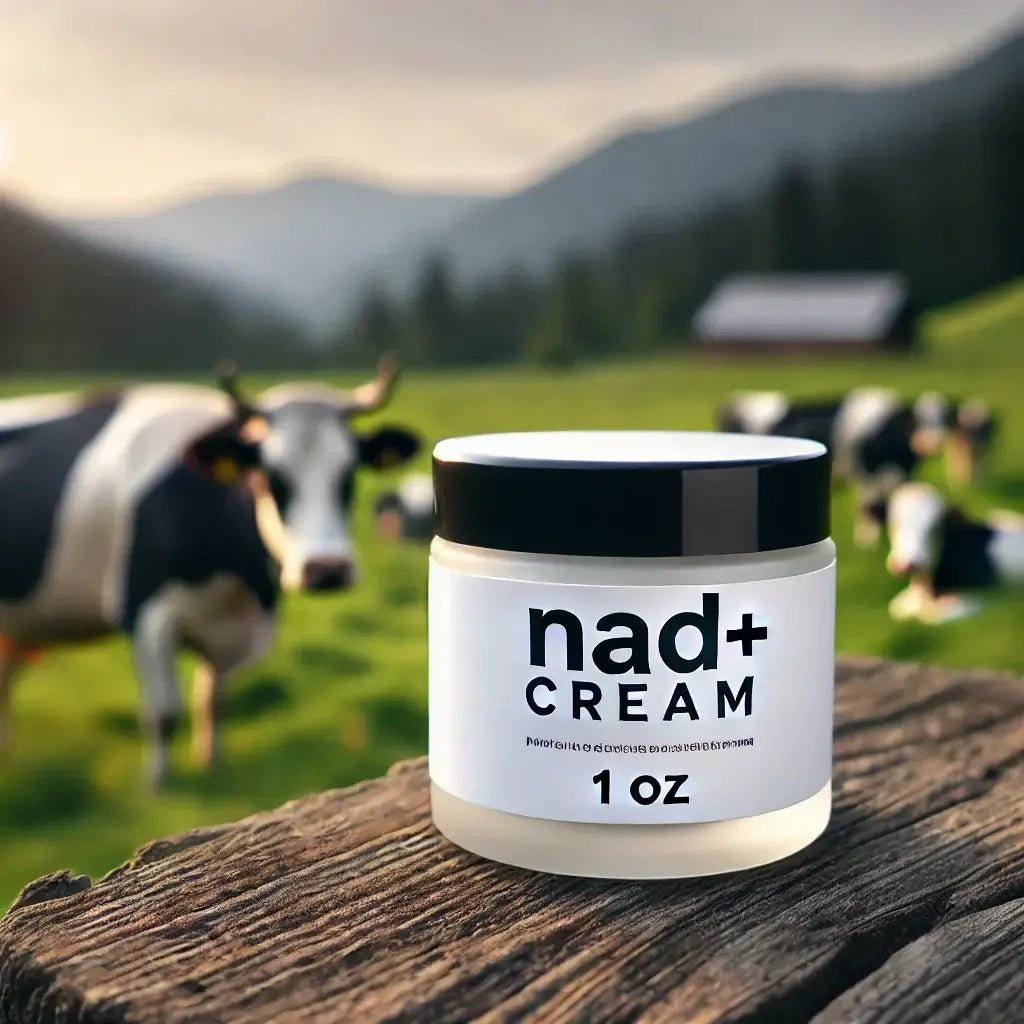 NAD cream jar with a smooth texture, known for its skin-rejuvenating properties, helping to reduce wrinkles and improve overall skin health.