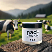 NAD cream jar with a smooth texture, known for its skin-rejuvenating properties, helping to reduce wrinkles and improve overall skin health.